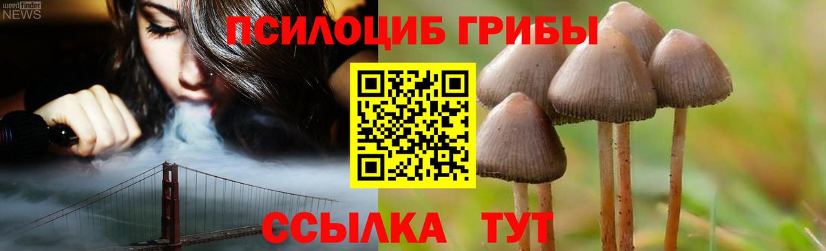 Юрга  Галлюциногенные грибы ЛСД  Вход с VPN 