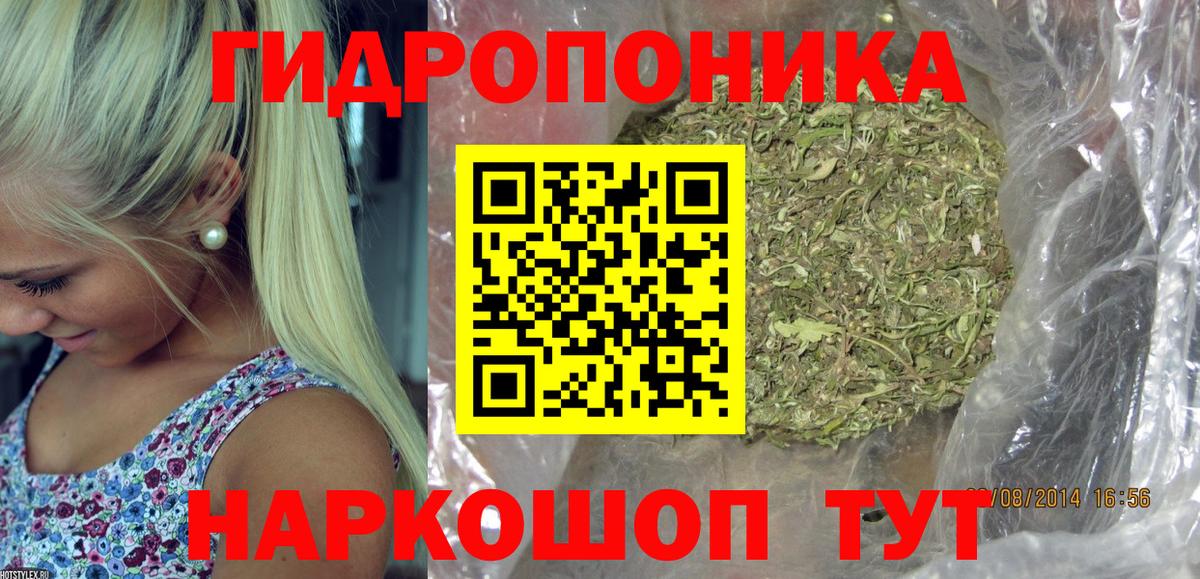 Юрга  Бошки Шишки планчик  Марихуана марихуана  Вход с VPN  Канабис гибрид 